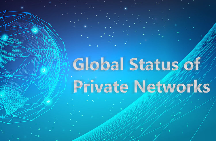 The Global status of Private Networks