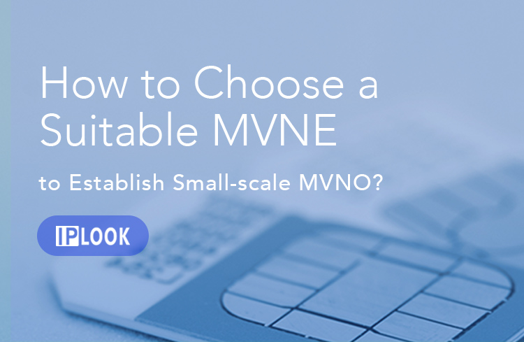 ¿Cómo elegir un MVNE adecuado para establecer un MVNO a pequeña escala?